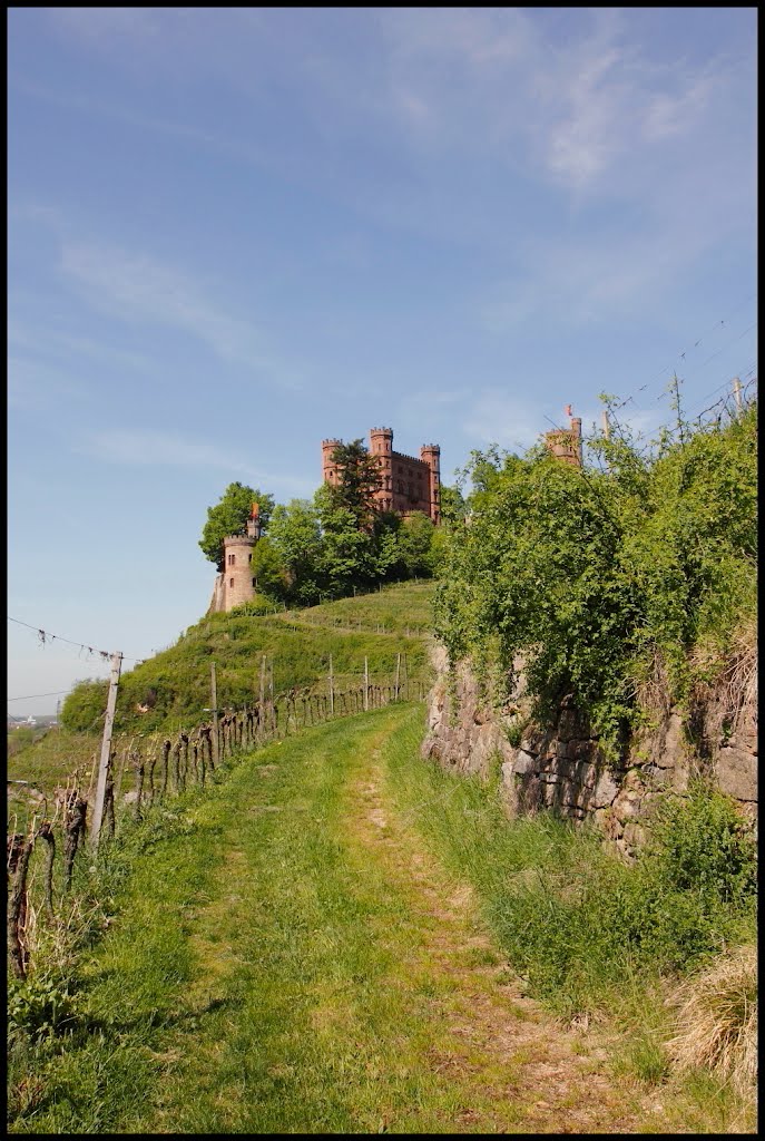 Schloss Ortenberg by ~~~ Thomas ~~~