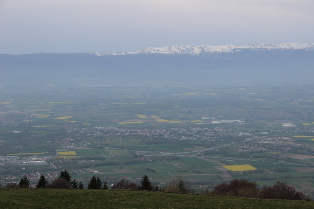 Geneva seen from the Salève by Björn S.