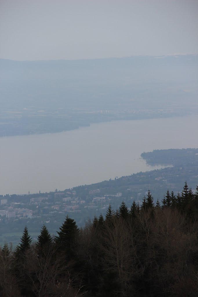 Geneva seen from the Salève by Björn S.