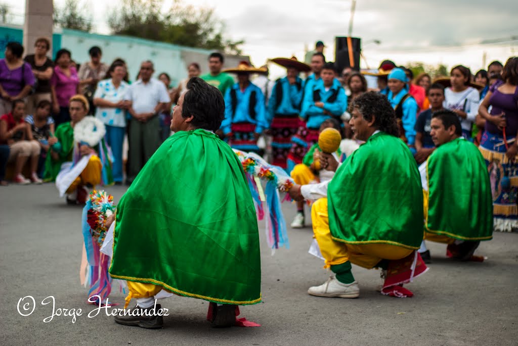 Danzantes by Jorge Hernandez