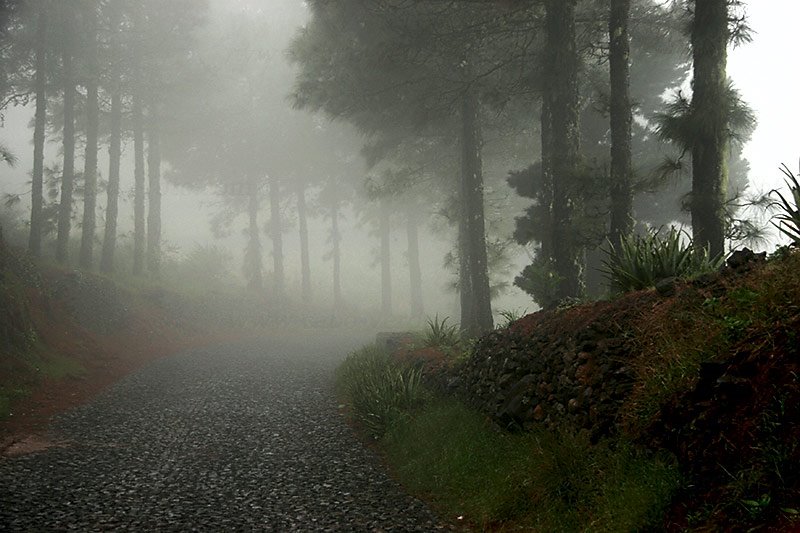 Pico da Cruz by Paulo Costa