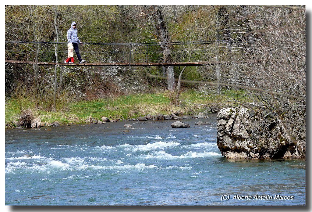 Puente de madera de Alejico sobre el río Esla by Alanmar