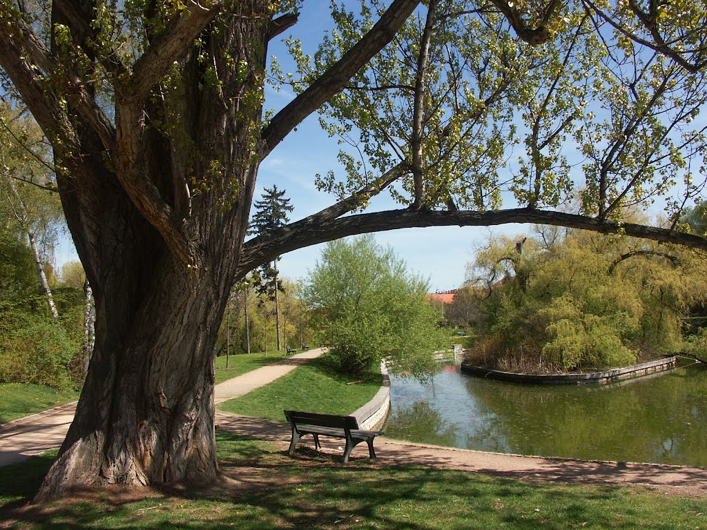 Břevnovský klášter-park by Kamil Kristen Brzák-THERESIAE RTM