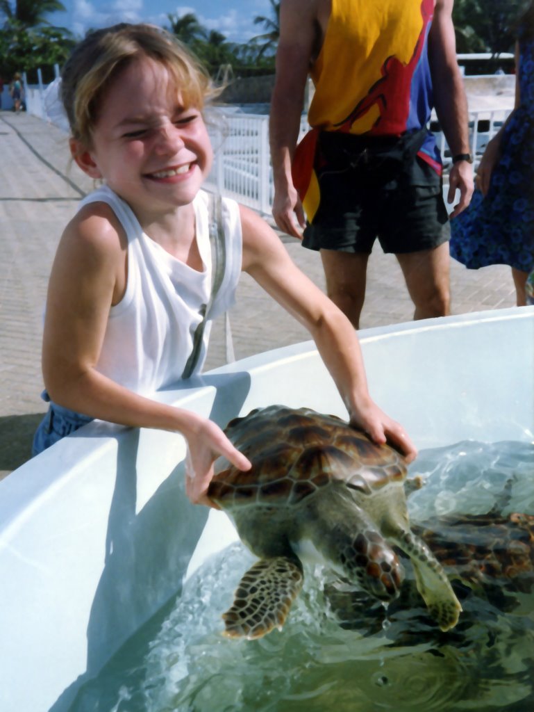 Turtle Farm near Hell's Gate by SirFin