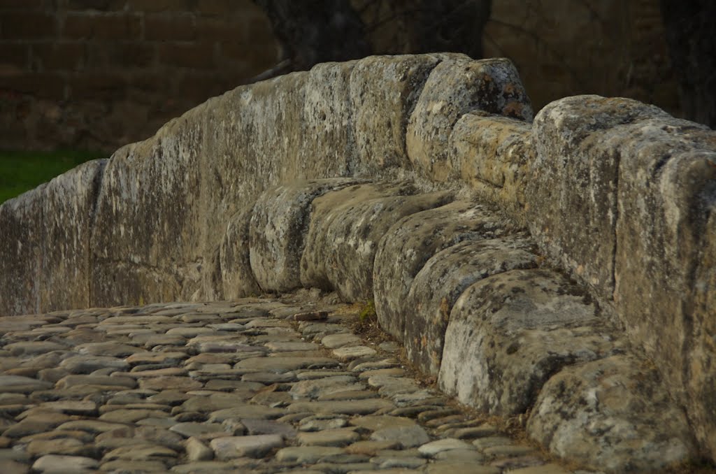 Puente Romano - Cihuri by Eduardo Guerrero Bergado