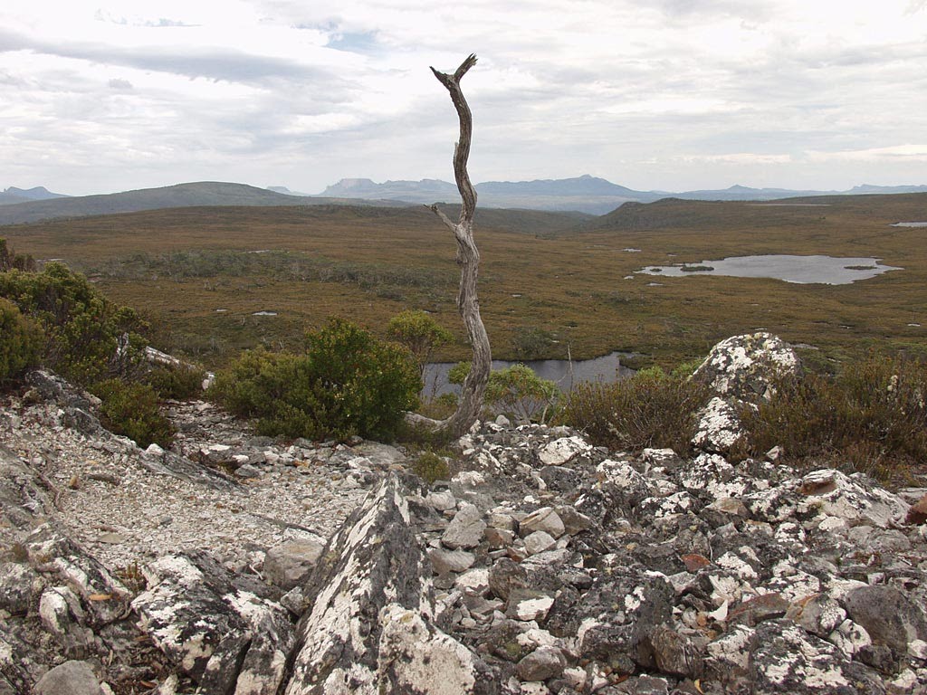 Overland Track by Nata Putevodka