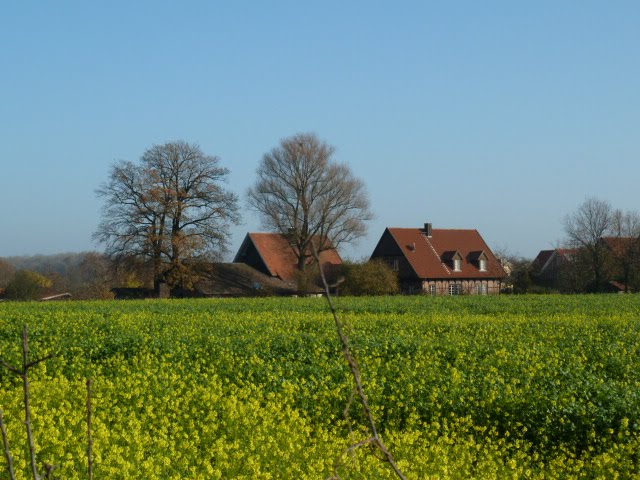 Hof bei Bösensell by Doc Dillen