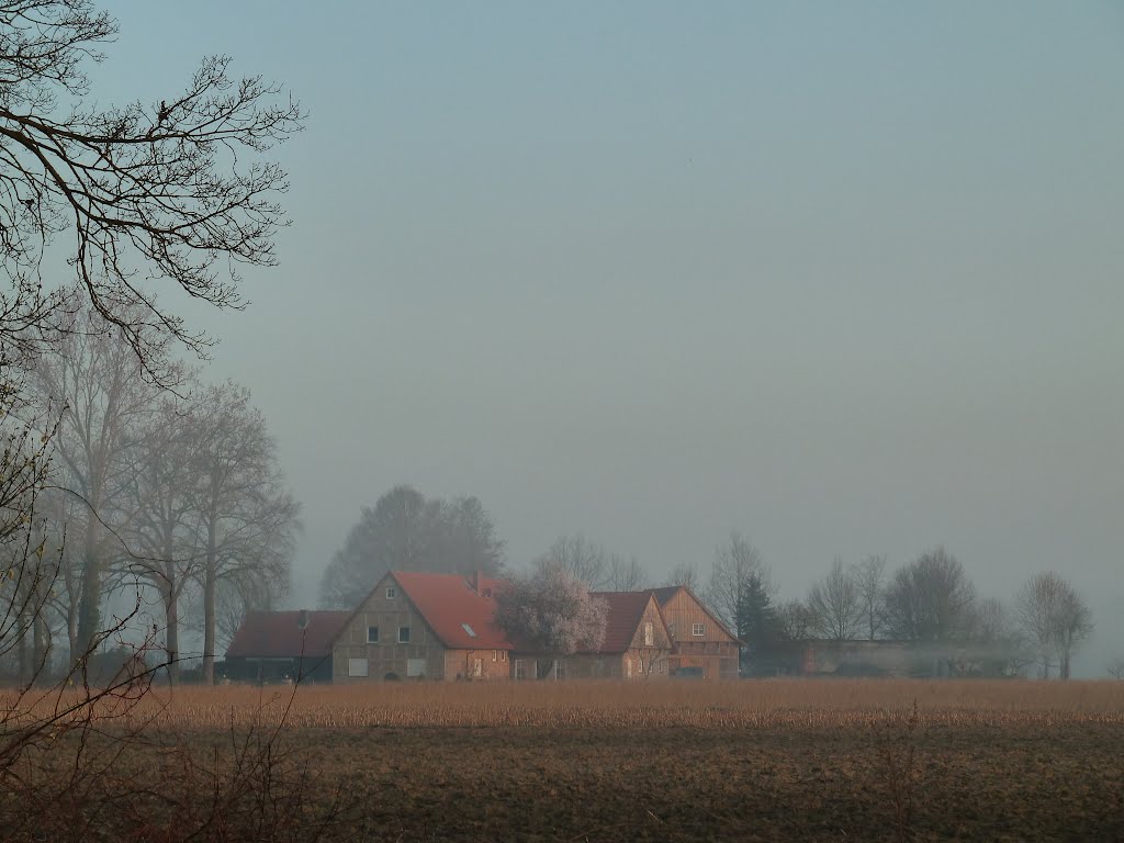 Hof im Morgennebel by Doc Dillen