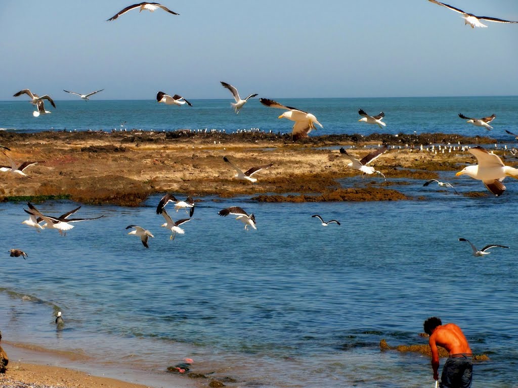 Playa del Puerto - Punta del Este by Gui Torres