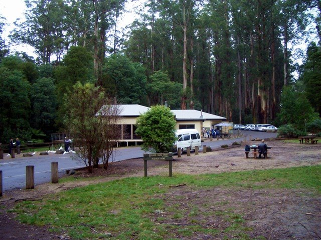 Sherbrook Forest, Dandenong Ranges by buasbgt