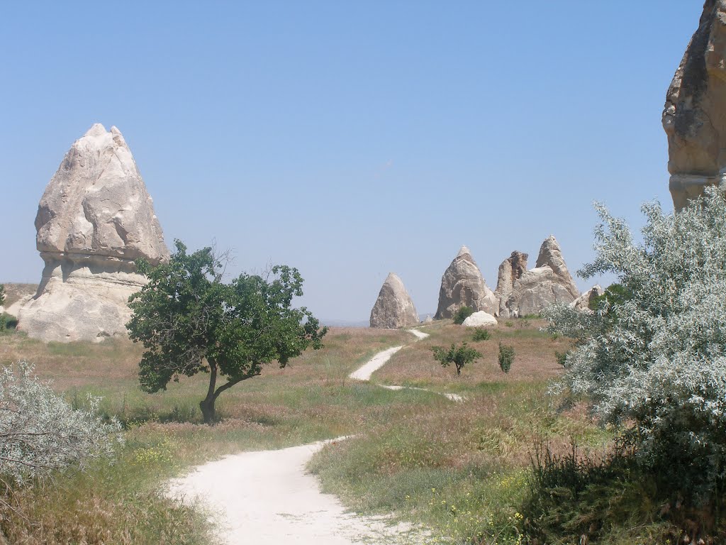 Typical Cappadocian Landscape by Dion Good