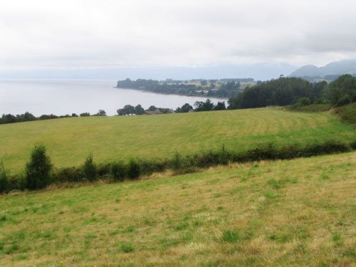 Vista Lago Llanquihue by champan