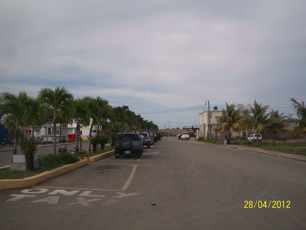 Taxi only at the airport by la treve