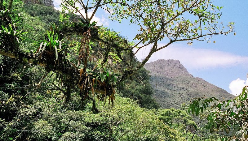 COMING DOWN FROM MACHU PICHU by Del Russel