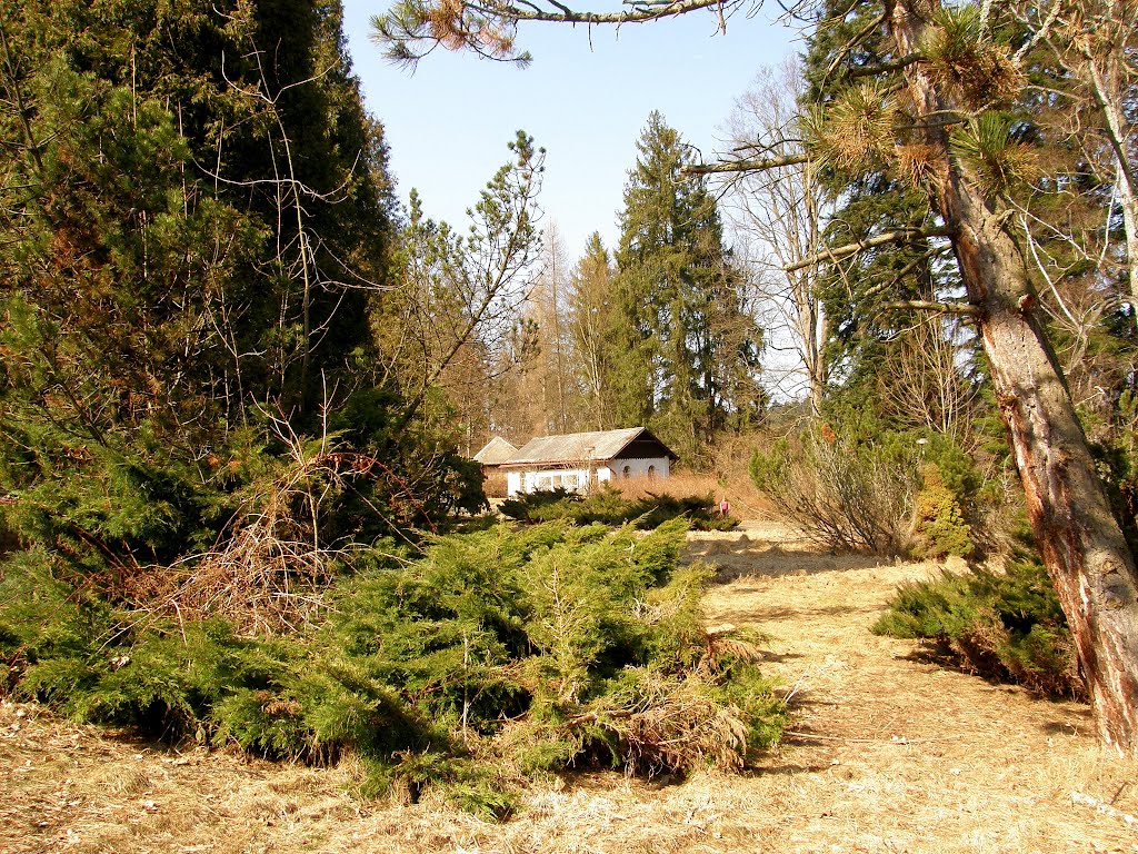 Janské Koupele - v areálu bývalého rekreačního střediska (in a former recreational center) by MAPP HUDRANS