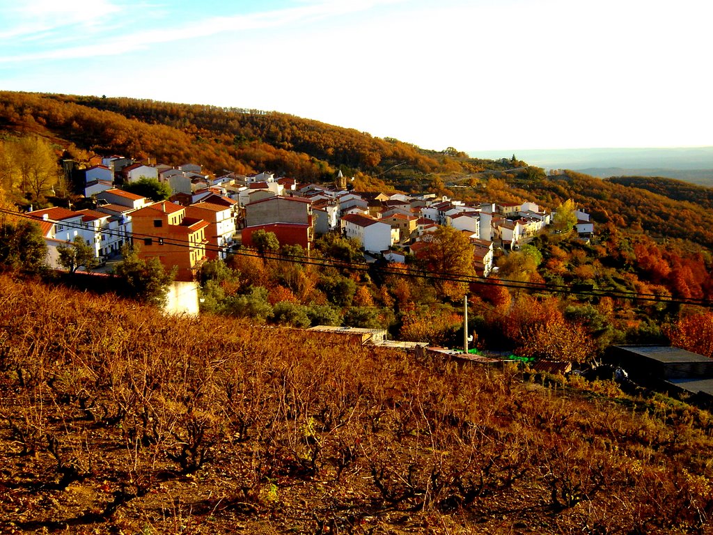 BARRADO - DESDE EL COTO by elriscoex