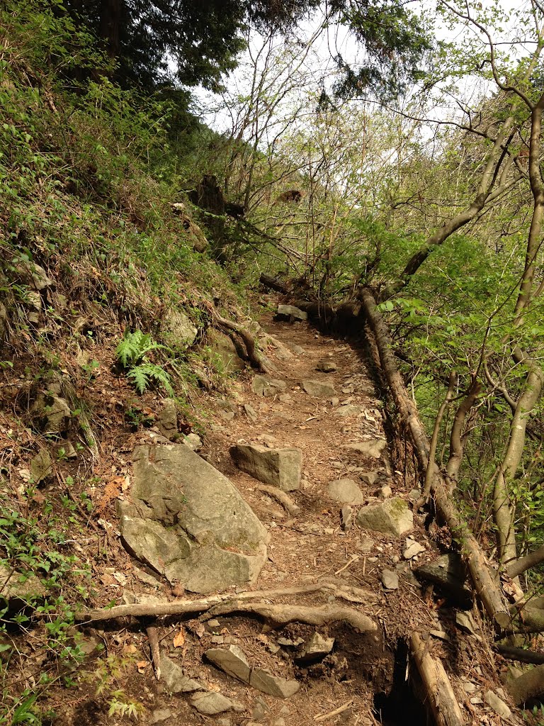 七代の滝への登山道 by 横尾寿秋