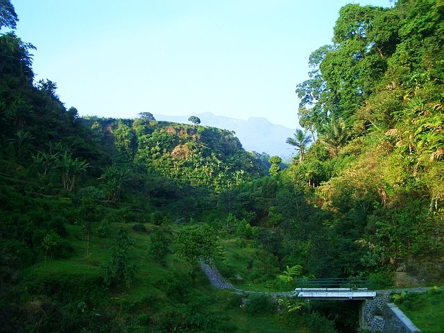 Pathway to Cisimun Falls, Cibodas Botanical Garden by buasbgt