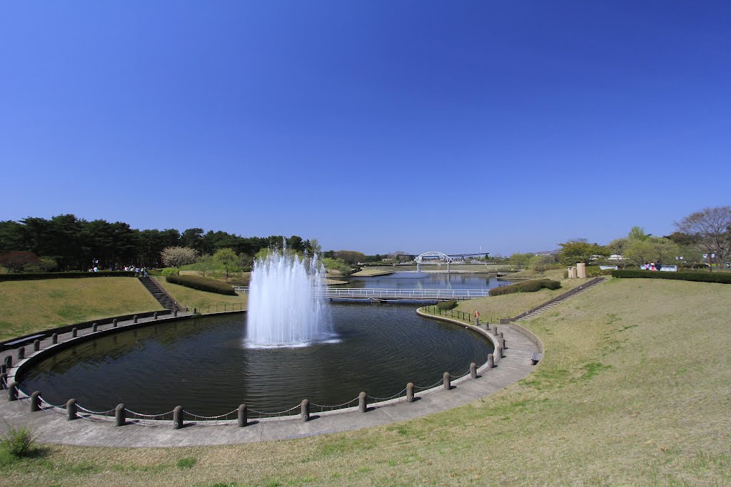 ひたち海浜公園 by くろふね