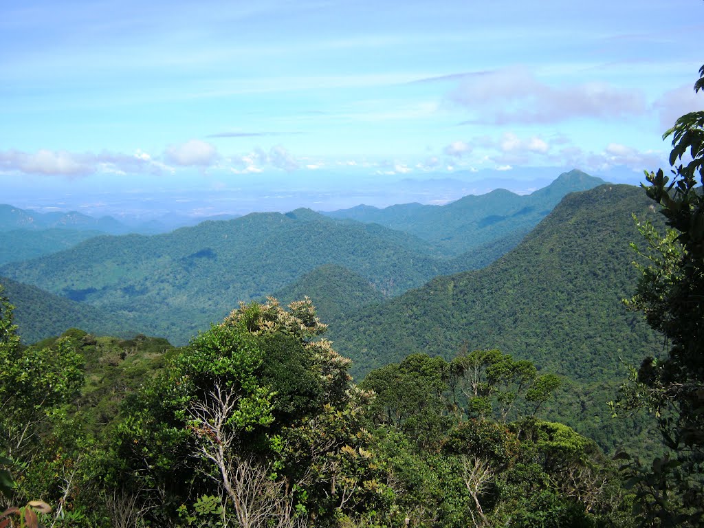 Cameron Highlands, Malaysia by gabriel82