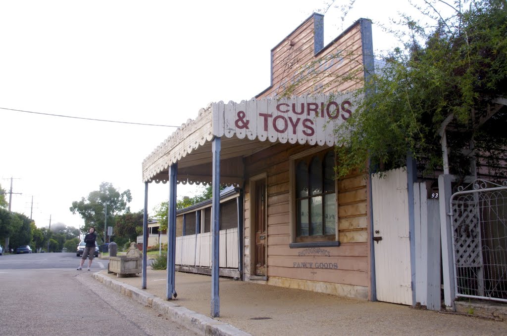 What are Fancy Goods? Gulgong by James Vickers