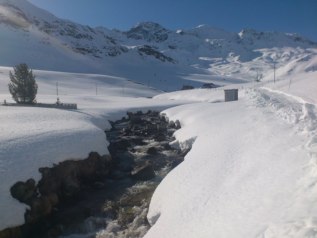 Prevostign, Blick auf Piz Grevasalvas by gregor rauh