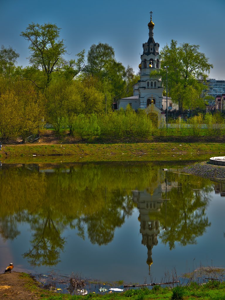 Church, Green Trees, Duck by Evgeny Meshkov