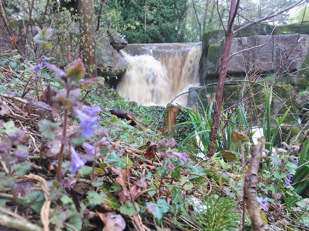 Stream in Carpenders Park Cemetery by RobBobTun