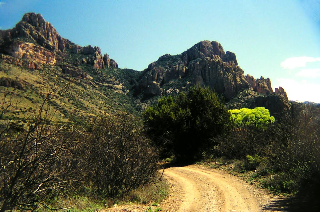 Chiricahua Mts, Onion Gap Rd, near Paradise, AZ, march, 1995 by Tom Dudones