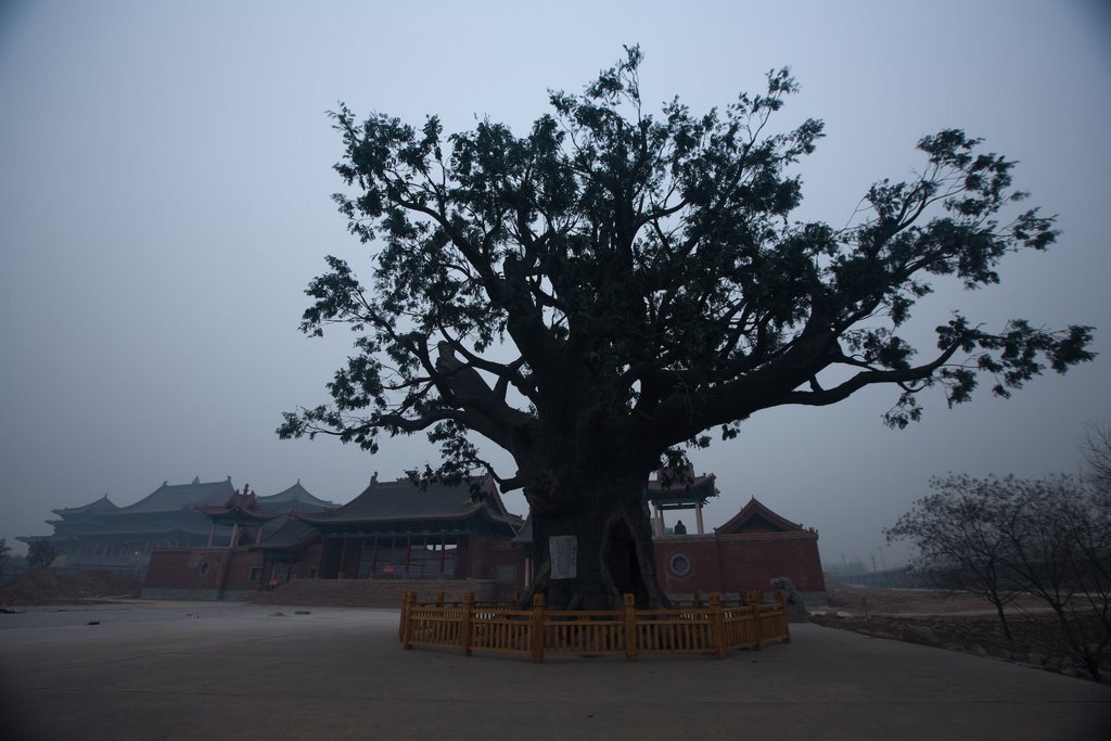 Hongtong, Linfen, Shanxi, China by The Longest Way