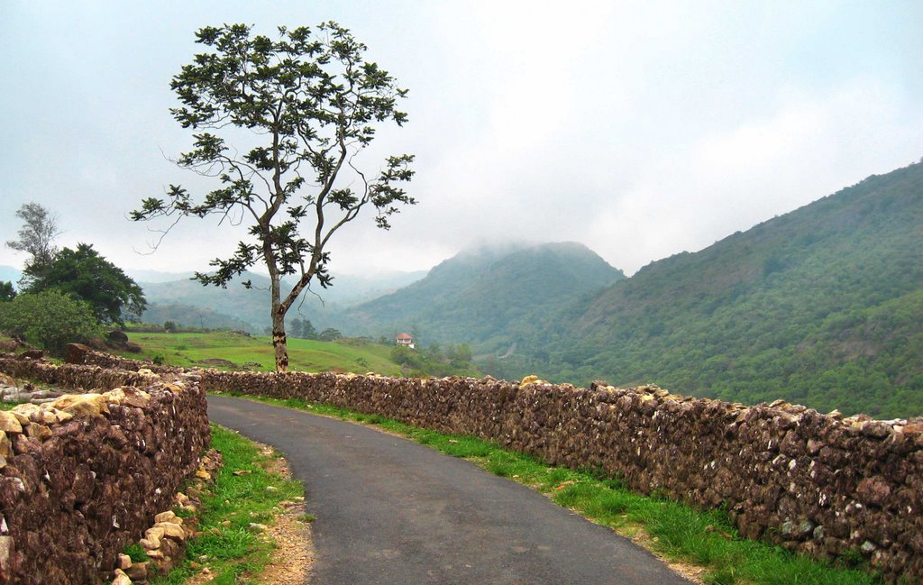 Vagamon, kerala by Girish Kumar P J