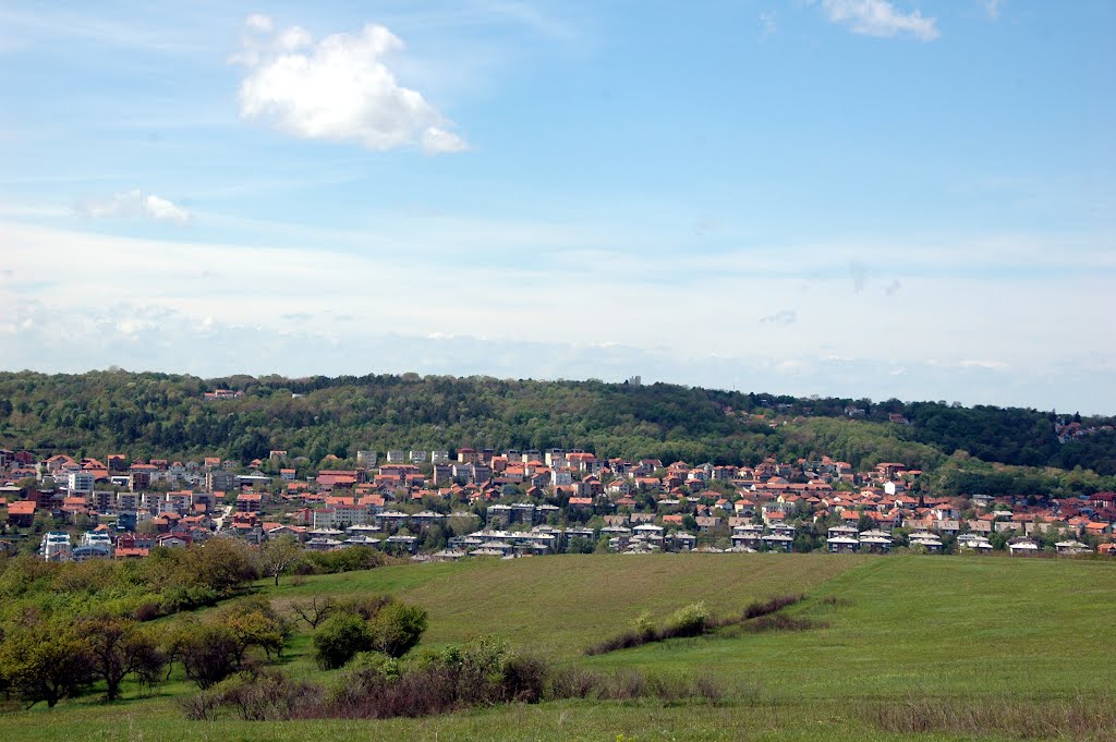 Mirjevo by Teča sa Dunava