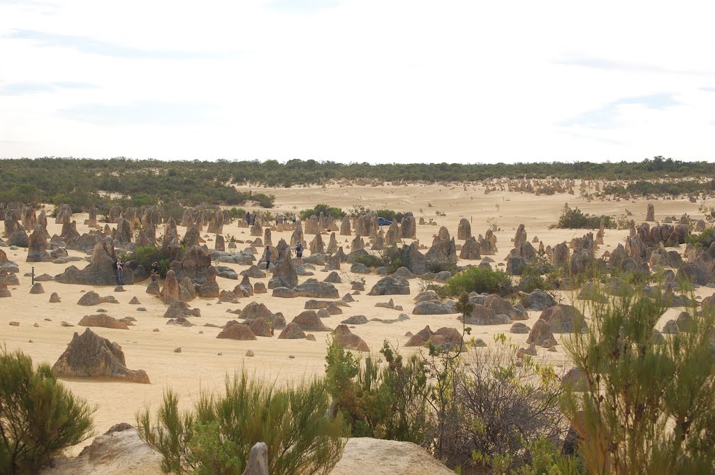 Nambung WA 6521, Australia by chrjp