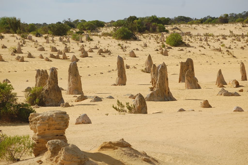 Nambung WA 6521, Australia by chrjp