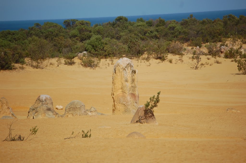 Nambung WA 6521, Australia by chrjp