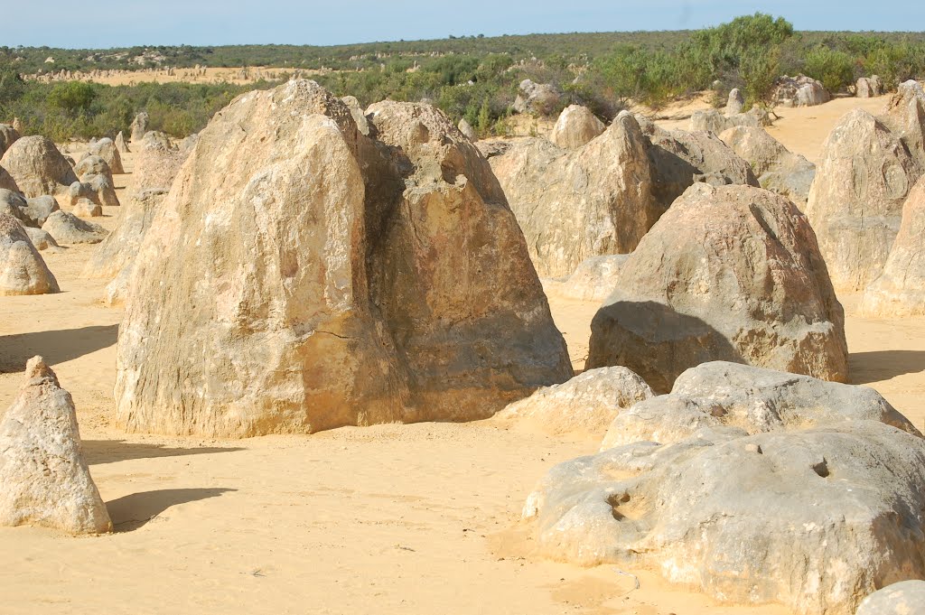 Nambung WA 6521, Australia by chrjp