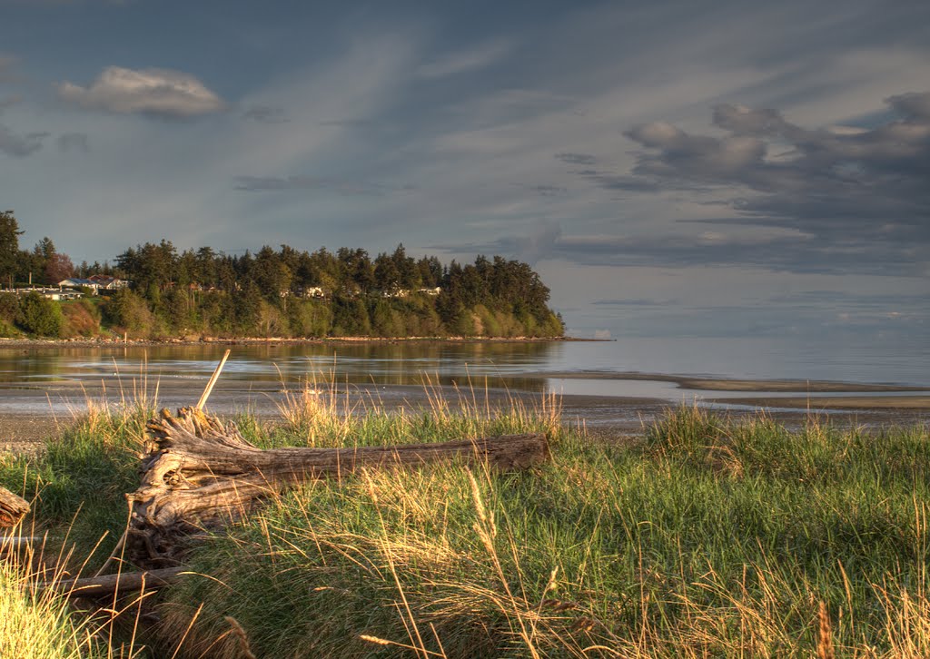 Spring Morning on Parksville Bay by Randy Hall