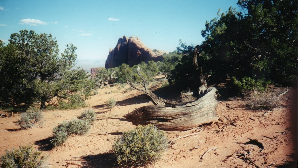 Near Mesa Arch by Douglas Sharp