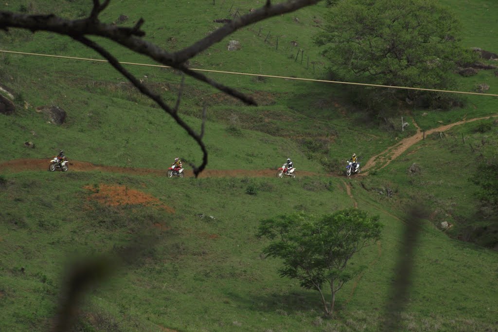 Caratinga - State of Minas Gerais, Brazil by Instituto Homem-mato