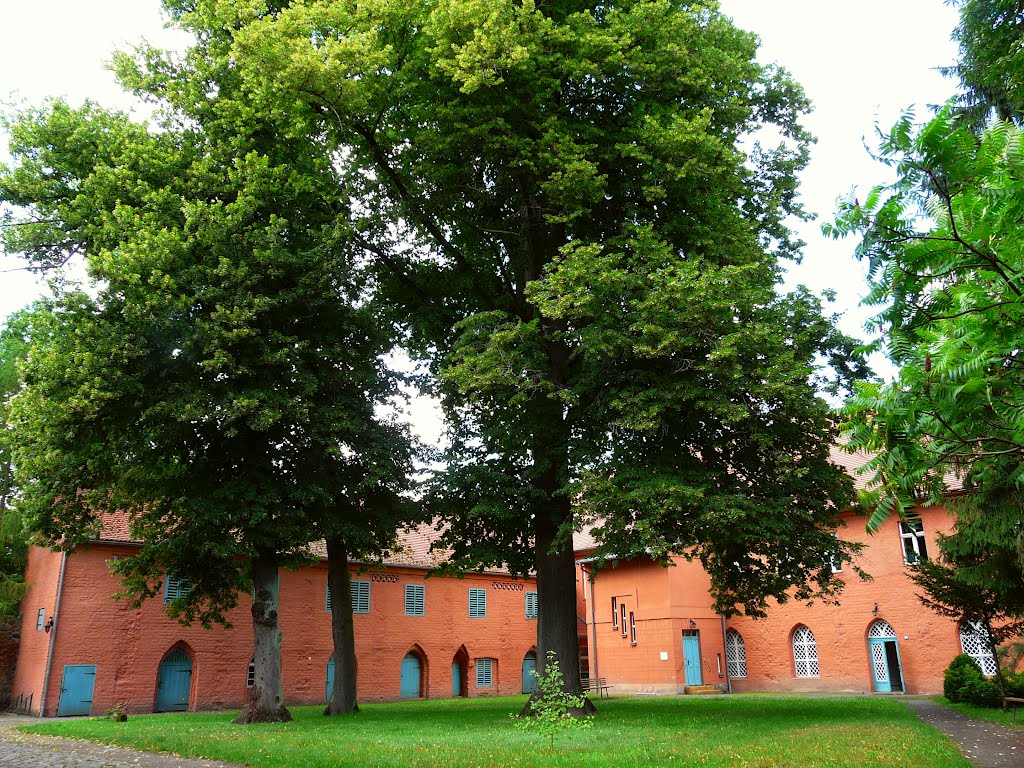 Germany_Brandenburg Country_Zehdenick_Cistercian Nuns Abbey_yard_P1240621.JPG by George Charleston