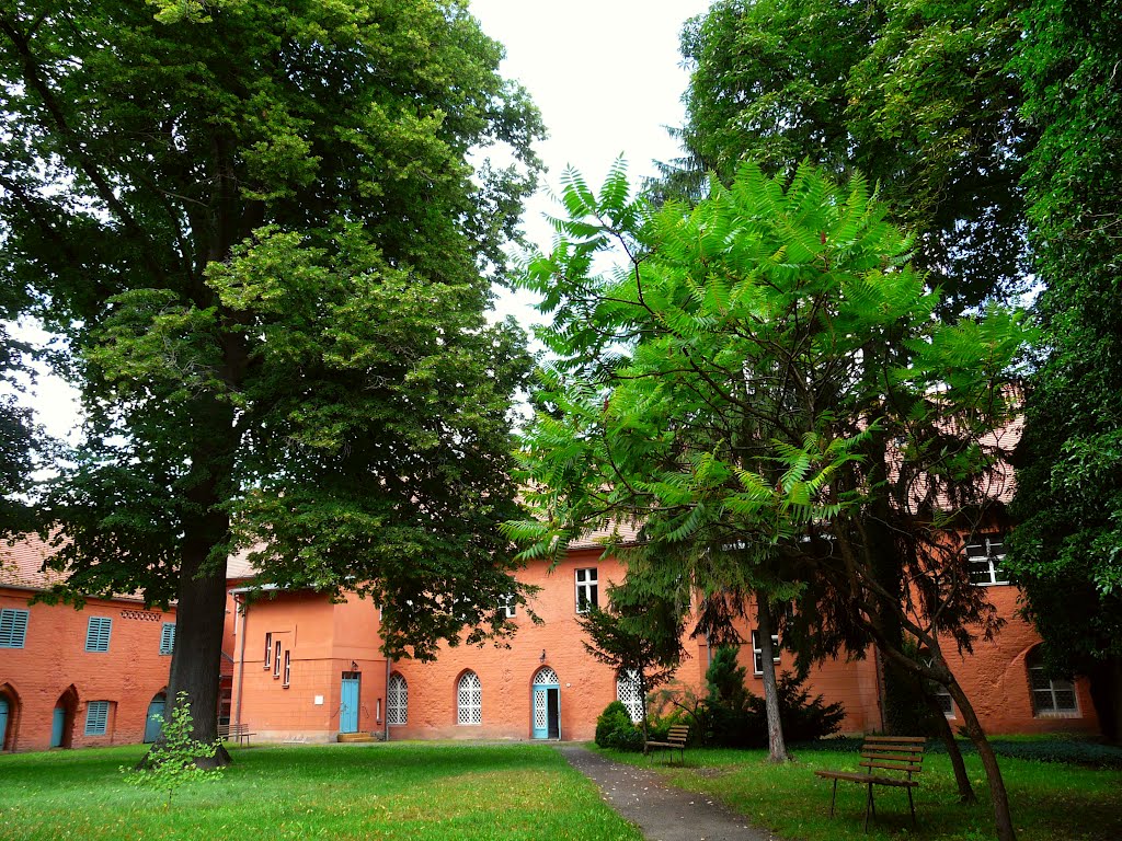 Germany_Brandenburg Country_Zehdenick_Cistercian Nuns Abbey_yard_P1240622.JPG by George Charleston