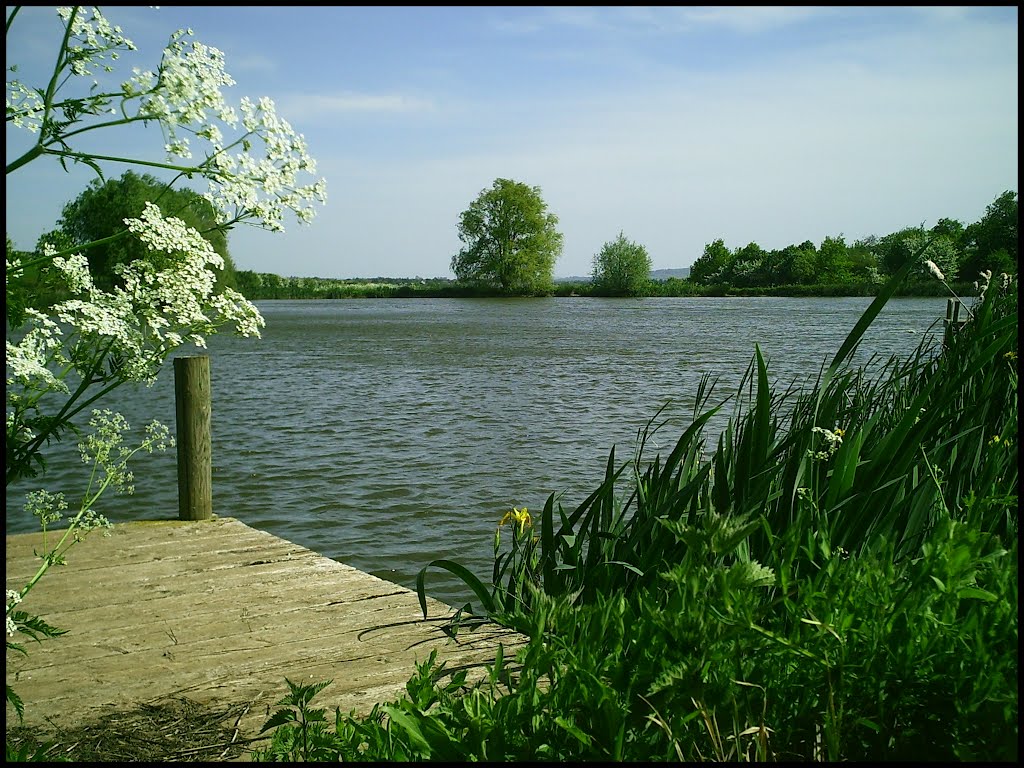 Lake near Dunnington by Llydrwydd