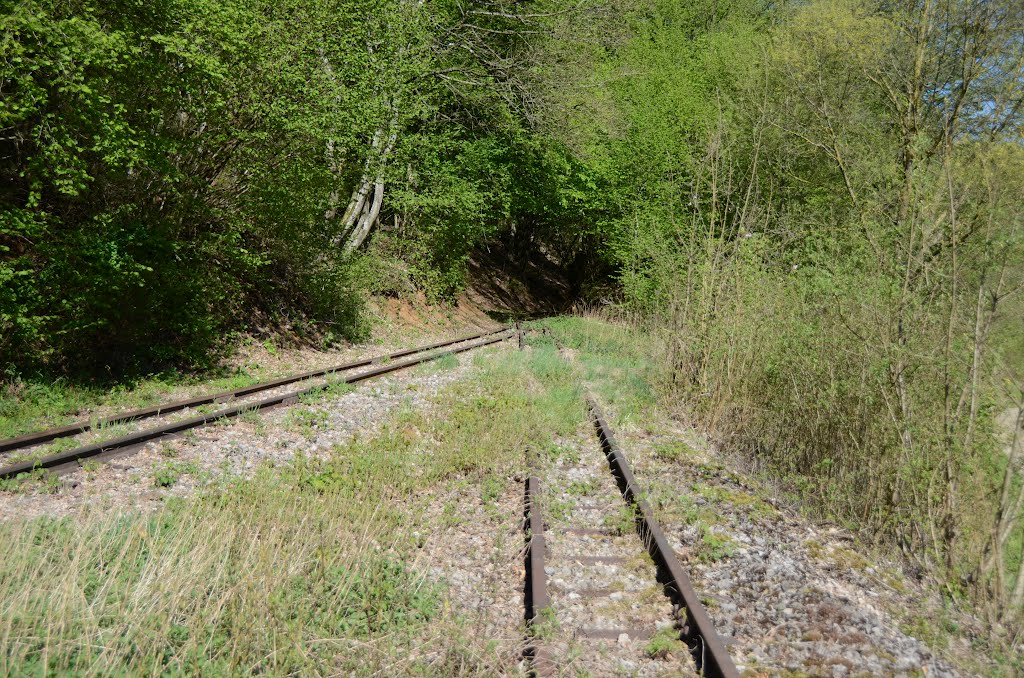 Fond-de-Gras Train 1900 29.04.2012 Luxembourg by RoschM