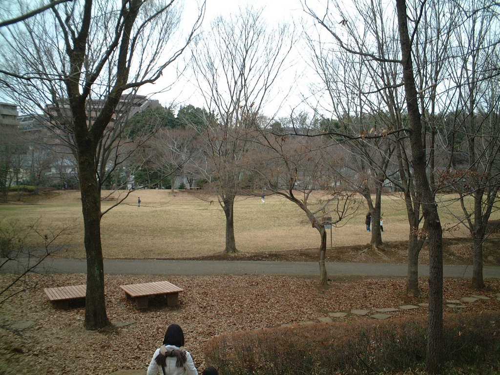 2008.01.14 大谷戸公園（馬引沢北公園） Oyato Park by 大塚スバル