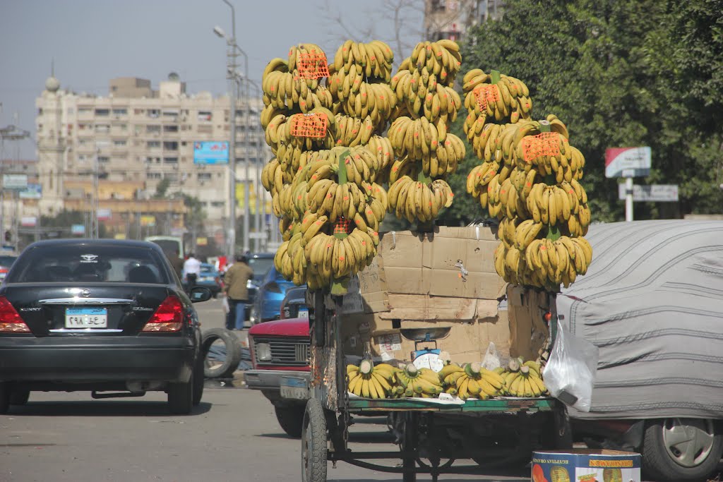 El-Bostan, Heliopolis, Cairo Governorate, Egypt by Amr Afifi