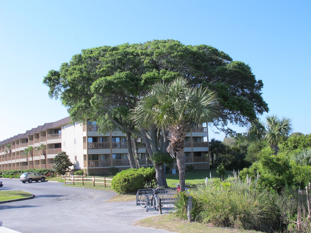 Beach and Tennis Resort in Hilton Head by Sydney2305