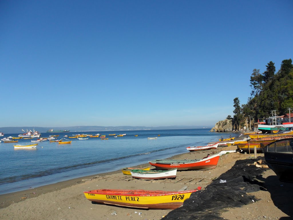 Playa y botes en caleta Tumbes mirando hacia la Bahía. by fotomau84