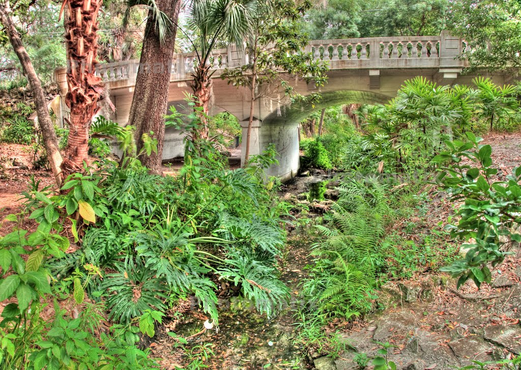 Washington St Bridge - Dickson Azalea Park by JTSmith1234