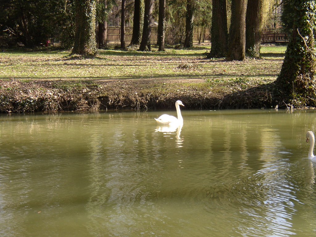 Park Maksimir by lbgalson