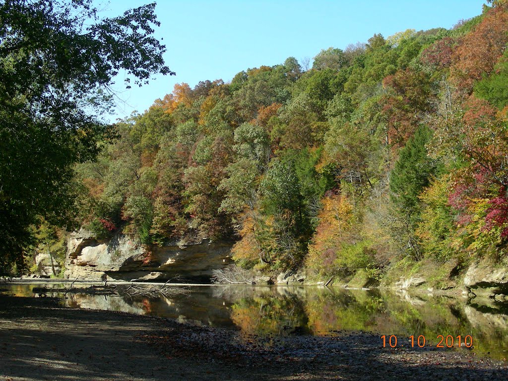 Turkey Run State Park by jbillstrand